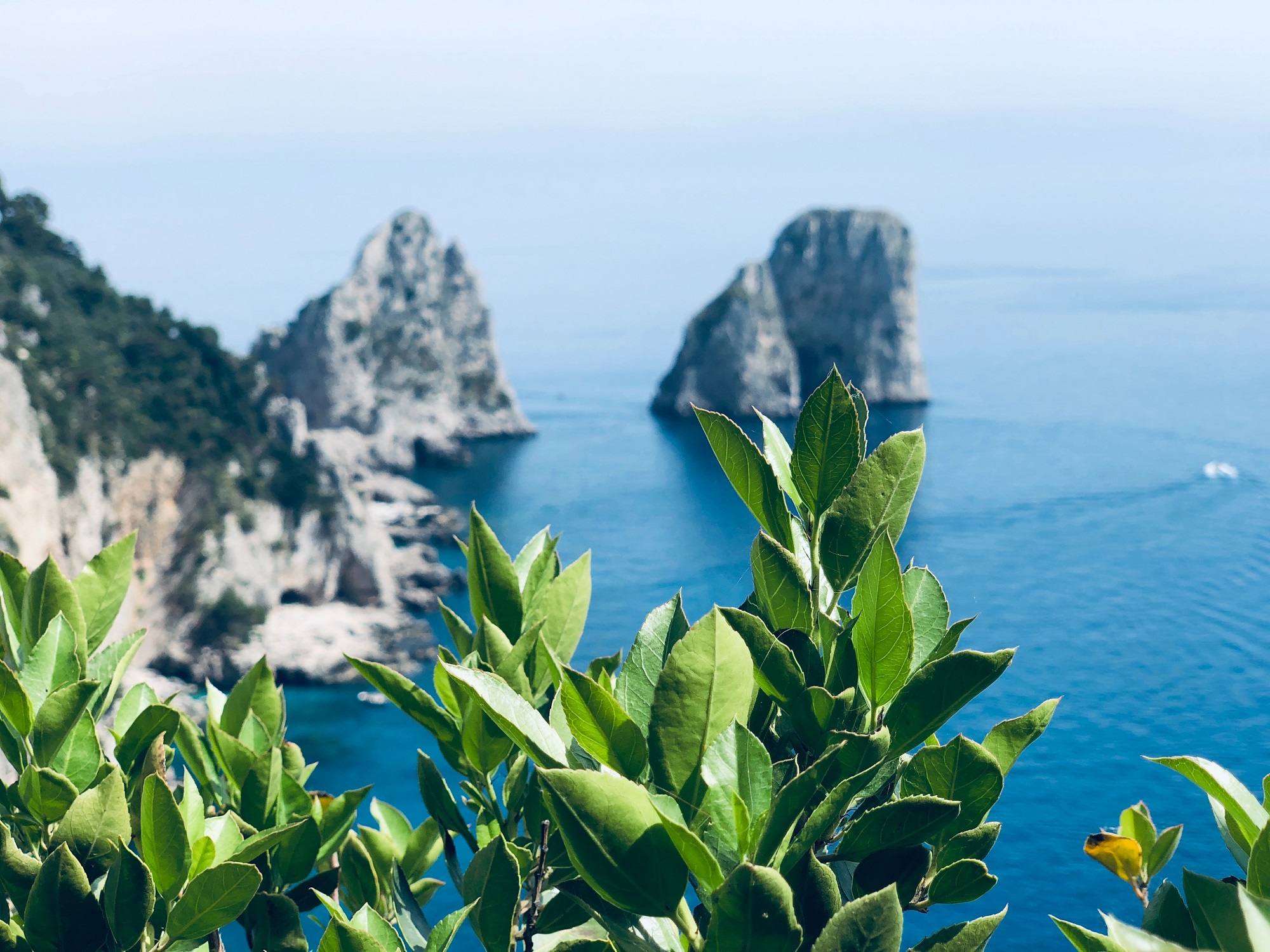 What to see in a day on the Island of Capri?