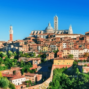 Tuscany Day Tour – Siena, San Gimignano, Pisa and Chianti Winery Lunch