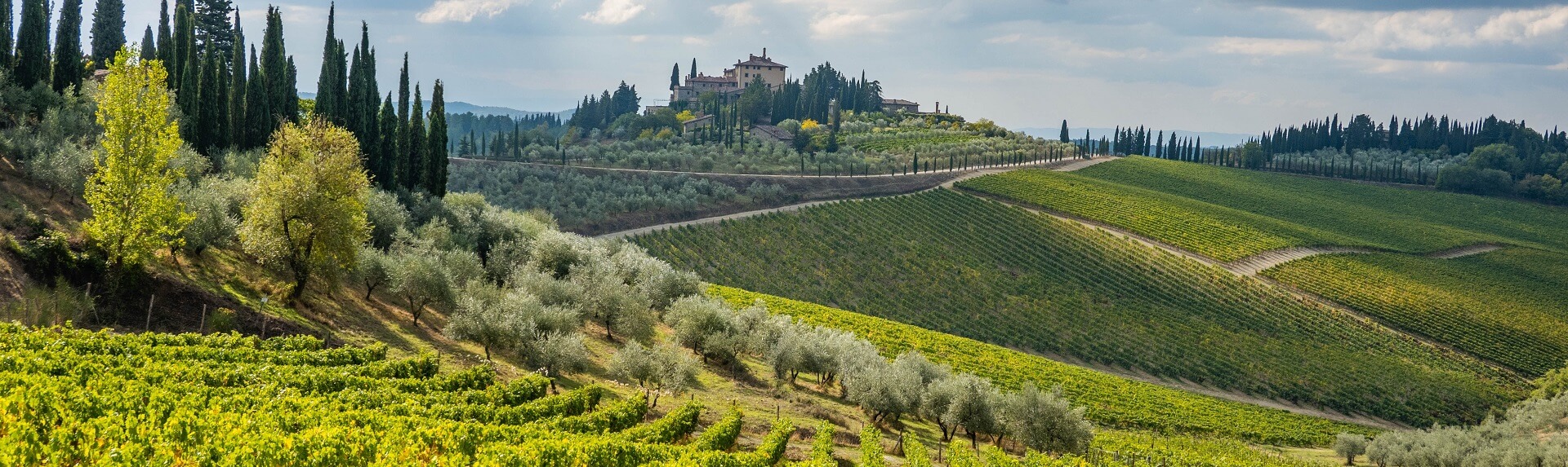 How far is Tuscany wine country from Florence?